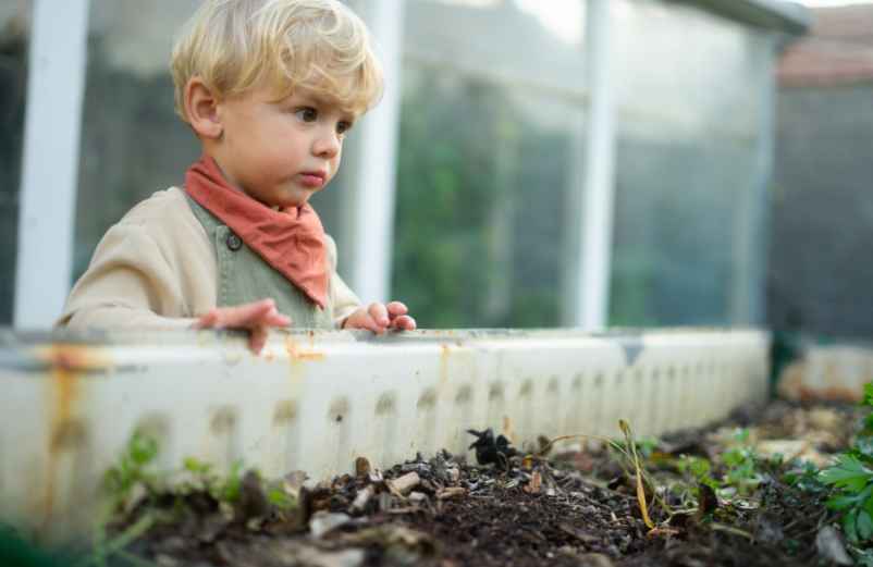 Pourquoi ne pas mettre d'agrumes dans le compost ?